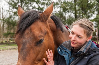 Hesteterapi tkl horse balance